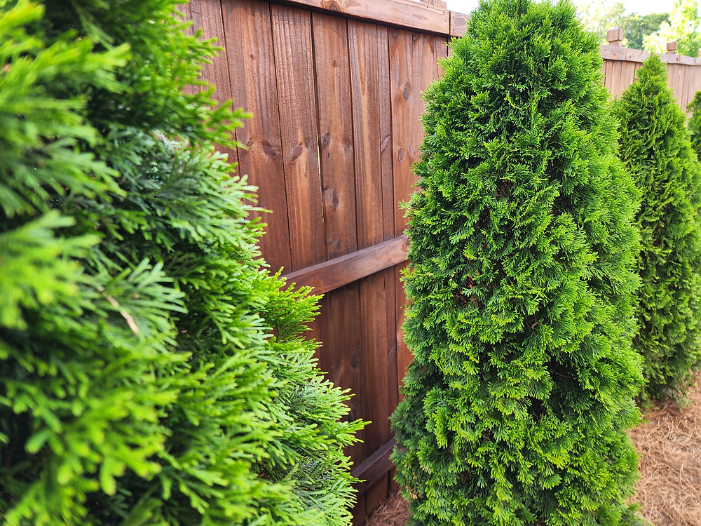 5 Benefits of Using Quality Oil-Based Stains for Your Fence and Deck Applications