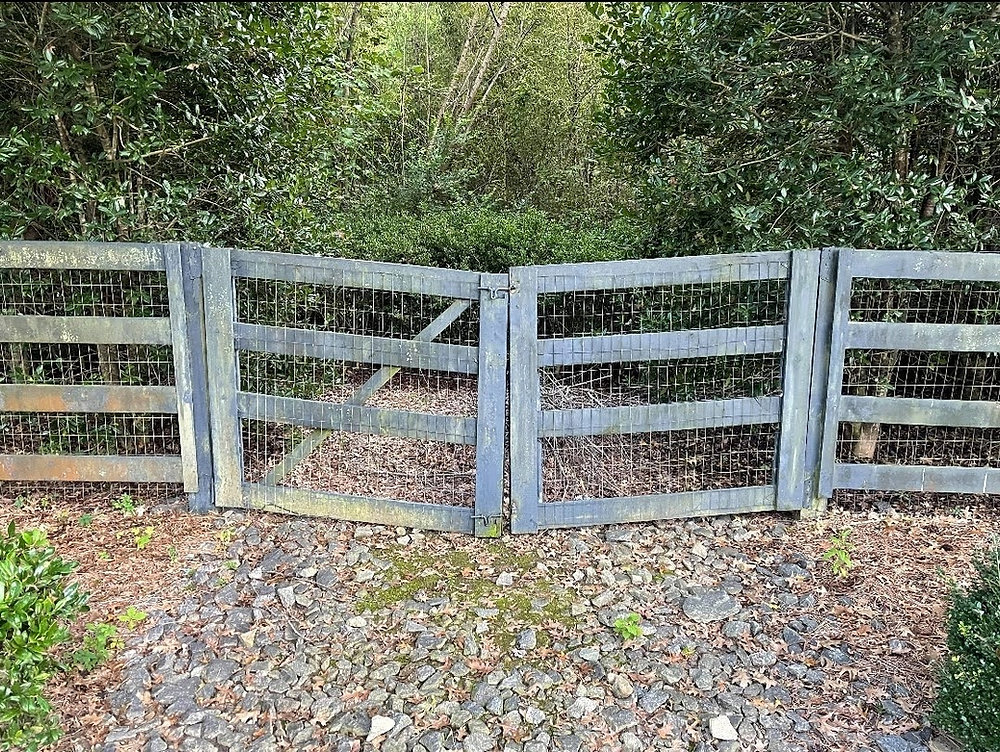 Fence Repair, what are my options?