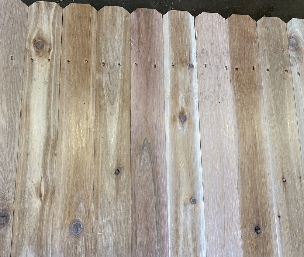Japanese Cedar VS Western Red Cedar for Fence